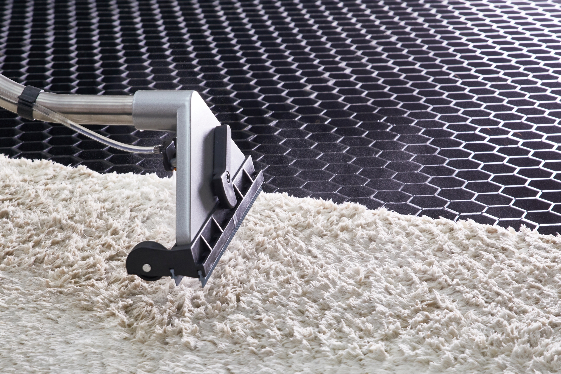 Deep Clean Carpets & Rugs Deep Clean Carpets & Rugs